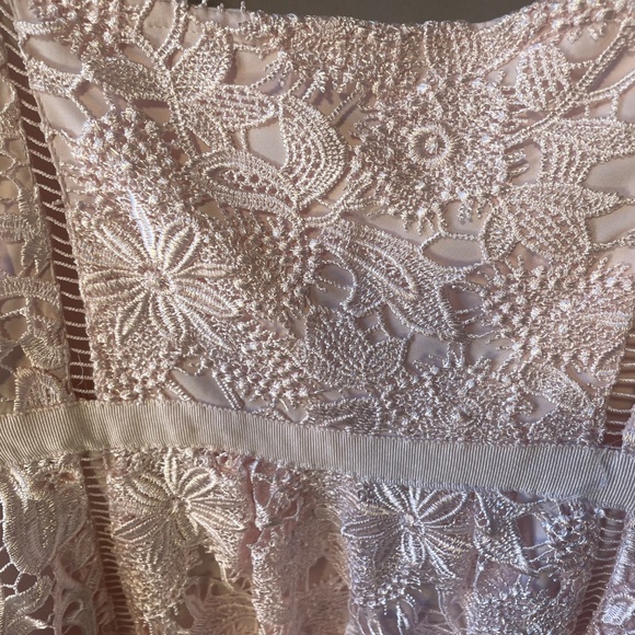 Light Pink Ted Baker Lace Dress - Picture 3 of 4